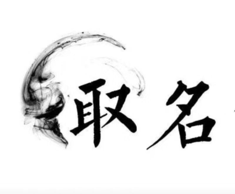  崇左宝宝取名 大师一对一人工起名